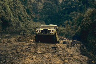 野外游戏大全手机版,探索户外乐趣,随时随地享受自然