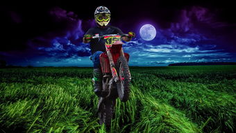 野外游戏活动,探索自然,挑战极限