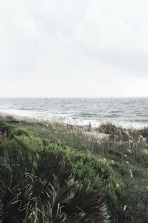 诗海拾贝,探索历史上写诗最多的诗人