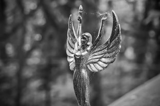 新大话西游,经典与创新的碰撞