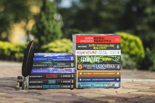 小鸡庄园今天答案,揭秘背后的趣味与智慧