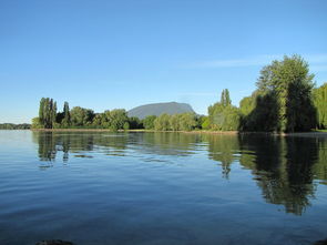一枝独秀幸福村,探索乡村振兴的典范