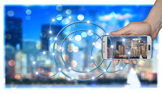 喝西北风,网络热词背后的社会现象与文化解读